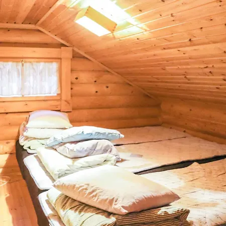 Alppi 6a Paritalo By Interhome